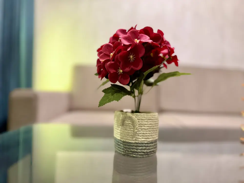 red roses celebration decor at Mulberry Homes Supernova Noida